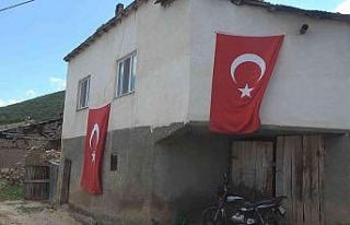 Şehit annesi istedi köyüne baz istasyonu kuruldu