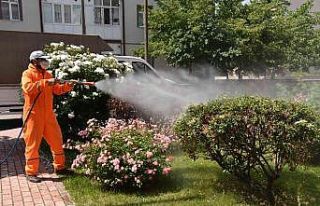 Selçuklu’da haşerelere karşı ilaçlama çalışmaları...