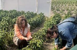 Seracıları bilgilendirme çalışmaları devam ediyor