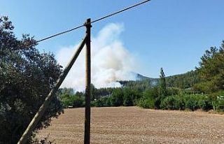 Seydikemer’de orman yangını çıktı