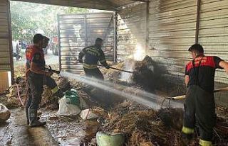 Seydikemer’de samanlık yangını