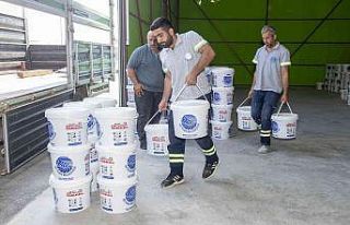 Seyhan boya üretiyor okullar renkleniyor