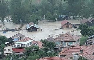 Şiddetli sağanak yağış sonrası ev ve tarlalar...