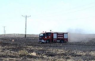 Sigara izmariti 50 dönüm buğdayı 10 dakikada küle...