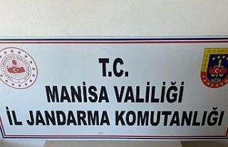 Sikkeleri satmak isterken jandarmaya yakalandılar