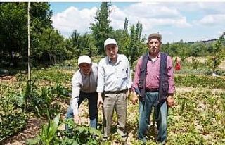 Simav’da sebze ve meyveler sağanak yağmur ve doludan...