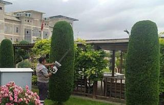 Sincan’da yeşil sanat