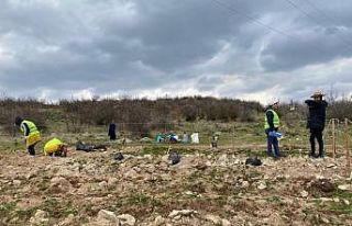 Sındırgı’da bal ormanı kuruluyor