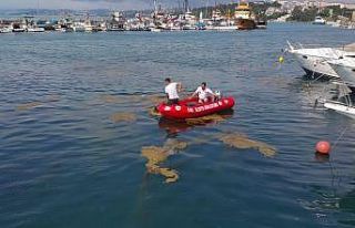 Sinop’ta deniz yüzeyinde oluşan kirlilik temizleniyor