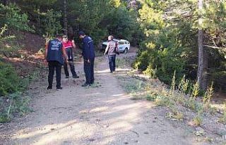 Sırra kadem basan gençler ormanlık alanda aranıyor