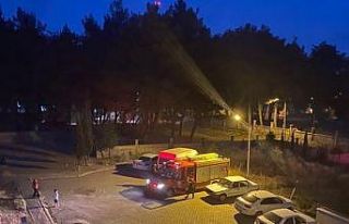 Site bahçesindeki yılan paniği