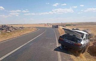 Siverek’te trafik kazası: 7 yaralı