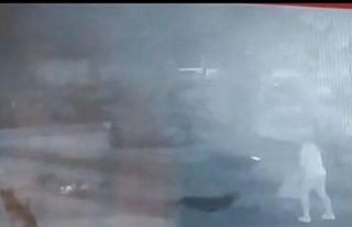 Sokak köpekleri işten dönen Hasret’e işte böyle...