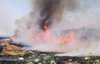 Söke İlçe Tarım Müdürlüğü’nden ’anız...