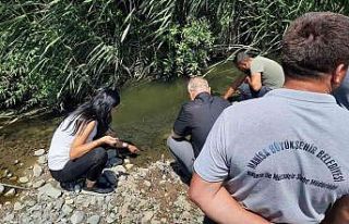 Soma ve Kırkağaç’ta haşereyle mücadele sürüyor