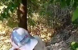 Susuzluktan bitkin düşen kaplumbağaya eliyle su...