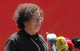 Tarım ve Orman Bakan Yardımcısı Ebubekir Gizligider:...