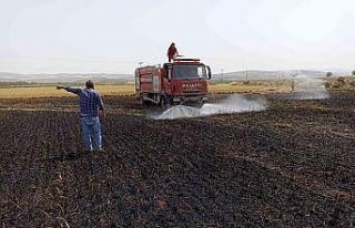 Tarlada çıkan yangında 5 dönüm buğday küle...