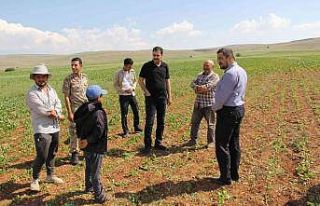 Tarlada mevsimlik işçilerle hasbihal