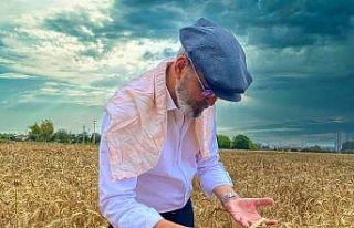 Tarsus’ta belediye arazilerine ekilen buğdaylar...