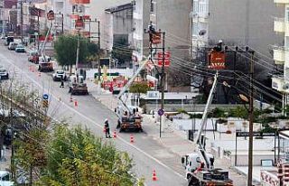 Tatil bölgelerindeki elektrik hatlarında bakım...
