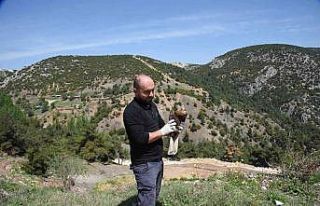 Tedavisi tamamlanan şahin özgürlüğe kanat açtı