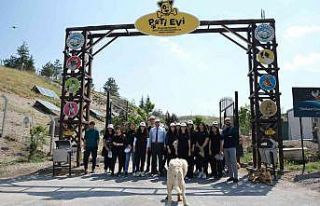 Tekden öğrencilerinden sokak hayvanları için ‘Ver...