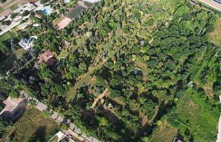 ’Toprak Dede’nin mirası ağaç müzesi ziyaretçilerini...