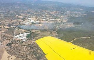 Torbalı’da zeytinlik alanda yangın