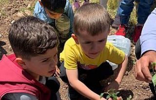 Tunceli’de anaokulu öğrencileri hobi bahçesi...