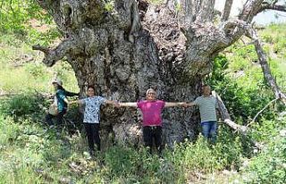 Türkiye’de şu ana kadar görülmedi: Tunceli’de...