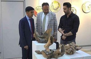 Üniversite öğrencileri eserleri ile küresel sorunlara...