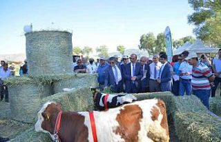 Üniversite Projeleri sonuç verdi ‘Tarla Günü’...