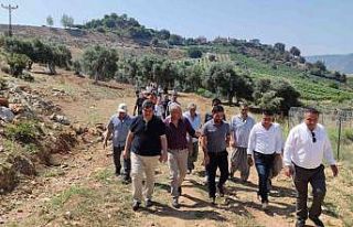 Üreticiye "Bağa bak üzüm olsun, yemeye yüzün...