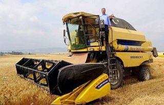 Vali kolları sıvadı, tarlaya girip biçerdöverle...