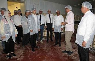 Vali Şıldak Manyas’ta çeşitli incelemeler de...