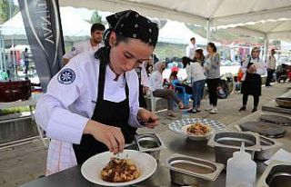 Van Gastronomi Festivali sona erdi