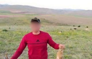 Vurdukları tavşanı köpeklere parçalattırıp...