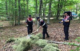 Yaban hayvanları için doğaya 100 kilo et bırakıldı