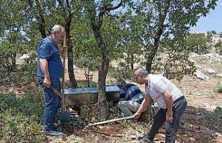 Yaban hayvanları için su teknesi bırakıldı