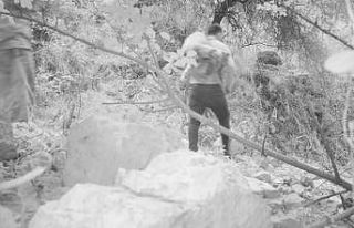 Yaban keçisi avcılarına 155 bin TL’lik ceza