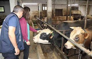 Yaklaşan Kurban Bayramı öncesi sıkı denetim