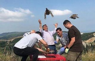 Yalova’da doğaya 850 keklik salımı yapıldı