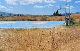 Yangına davetiye çıkaran kurumuş otlar temizleniyor