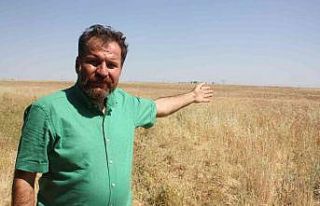 Yangınlar çiftçinin geleceğini, ülkenin ekonomisini...