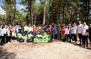 Yangınlara sebep olan cam şişeler ormanlık alandan...