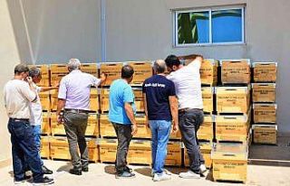 Yangınzede üreticilere arı kovanı desteği