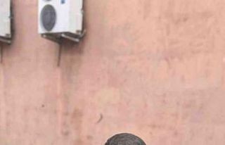 Yaralı bulunan ebabil kuşu tedavi altına alındı
