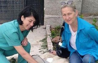 Yaralı köpek sağlığına Tepebaşı’nda kavuşuyor