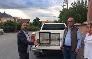 Yaralı kuşlara yardım eli
